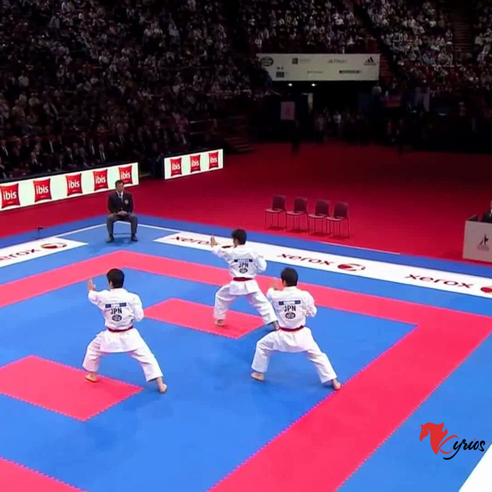 PACK DE 5 PISOS TATAMI DE 1 X 1 METRO DOBLE COLOR ANTIDESLIZANTE